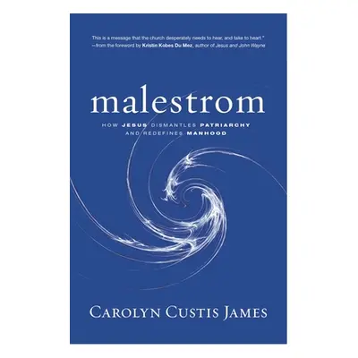 "Malestrom: Manhood Swept Into the Currents of a Changing World" - "" ("James Carolyn Custis")