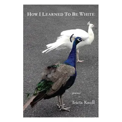 "How I Learned to Be White" - "" ("Knoll Tricia")