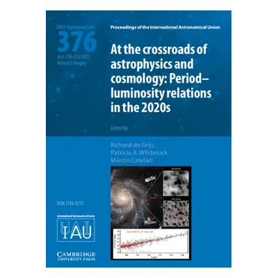 "At the Cross-Roads of Astrophysics and Cosmology (Iau S376): Period-Luminosity Relations in the