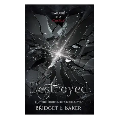 "Destroyed" - "" ("Baker Bridget E.")