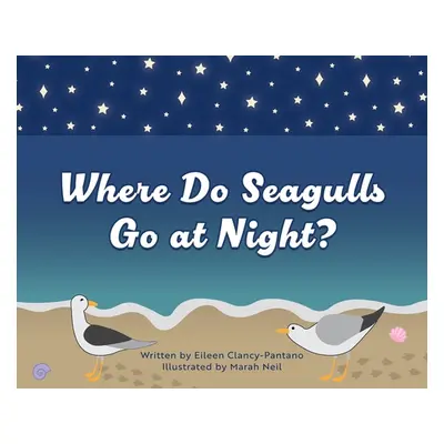 "Where Do Seagulls Go at Night?" - "" ("Clancy-Pantano Eileen")