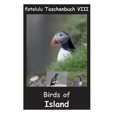 "Birds of Island" - "" ("Fotolulu")