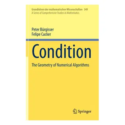 "Condition: The Geometry of Numerical Algorithms" - "" ("Brgisser Peter")