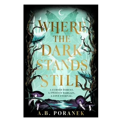 "Where the Dark Stands Still" - "" ("Poranek A.B.")