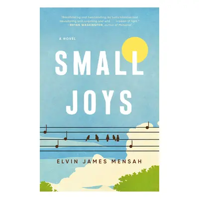 "Small Joys" - "" ("Mensah Elvin James")