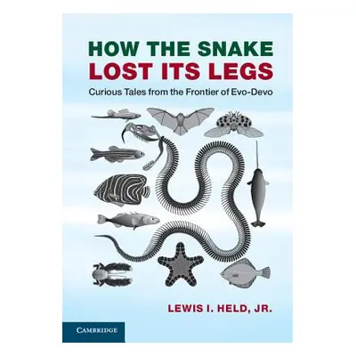 "How the Snake Lost Its Legs: Curious Tales from the Frontier of Evo-Devo" - "" ("Held Lewis I. 