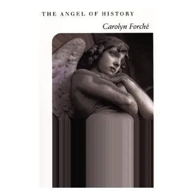 "The Angel of History" - "" ("Forche Carolyn")