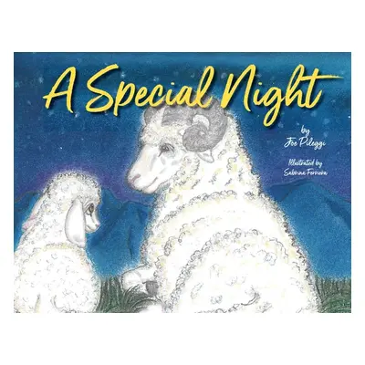 "A Special Night" - "" ("Pileggi Joe")