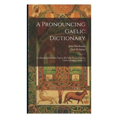 "A Pronouncing Gaelic Dictionary: To Which Is Prefixed A Concise But Most Comprehensive Gaelic G