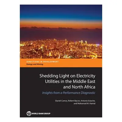 "Shedding Light on Electricity Utilities in the Middle East and North Africa: Insights from a Pe