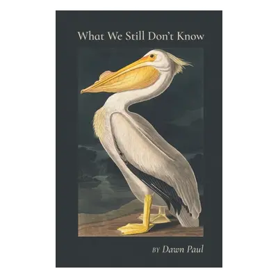 "What We Still Don't Know" - "" ("Paul Dawn")