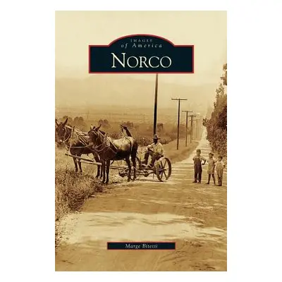 "Norco" - "" ("Bitetti Marge")