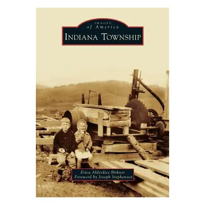 "Indiana Township" - "" ("Birkner Erica Alderdice")