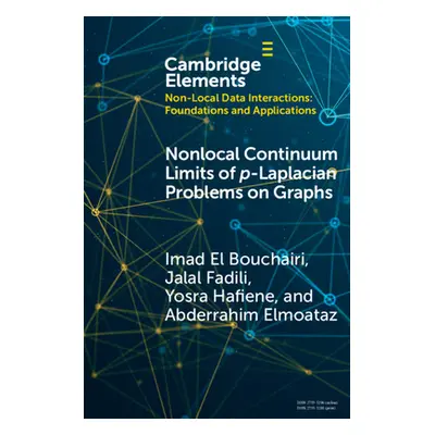 "Nonlocal Continuum Limits of P-Laplacian Problems on Graphs" - "" ("El Bouchairi Imad")