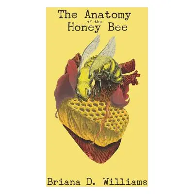 "The Anatomy of the Honey Bee" - "" ("Williams Briana Danielle")