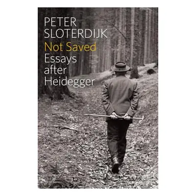 "Not Saved: Essays After Heidegger" - "" ("Sloterdijk Peter")