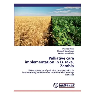 "Palliative care implementation in Lusaka, Zambia" - "" ("Mbozi Patience")