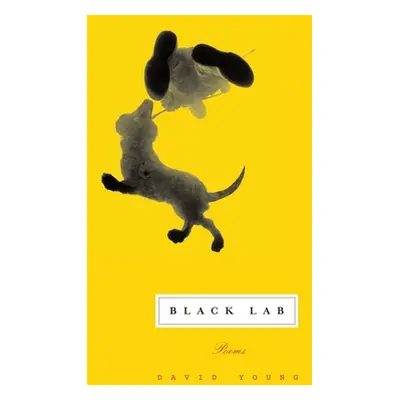 "Black Lab: Poems" - "" ("Young David")