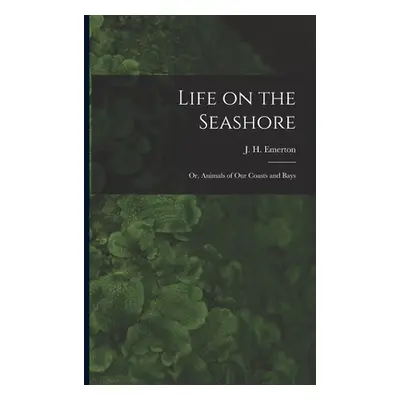 "Life on the Seashore: or, Animals of Our Coasts and Bays" - "" ("Emerton J. H. (James Henry) 18