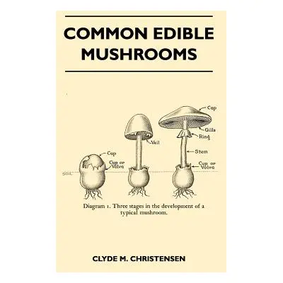 "Common Edible Mushrooms" - "" ("Christensen Clyde M.")