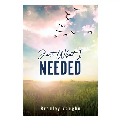 "Just What I Needed" - "" ("Vaughn Bradley")