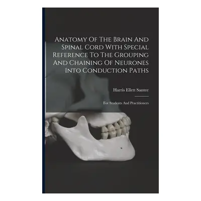 "Anatomy Of The Brain And Spinal Cord With Special Reference To The Grouping And Chaining Of Neu