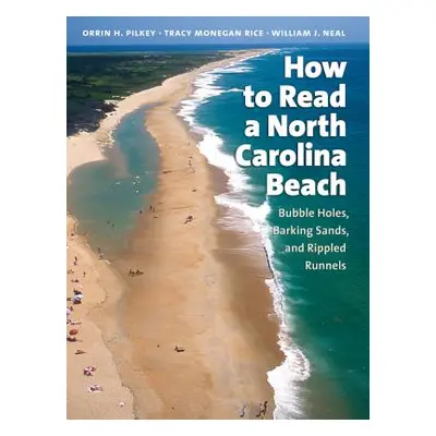 "How to Read a North Carolina Beach: Bubble Holes, Barking Sands, and Rippled Runnels" - "" ("Pi