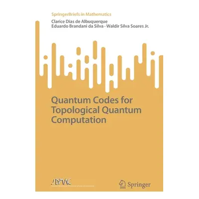 "Quantum Codes for Topological Quantum Computation" - "" ("Albuquerque Clarice Dias de")