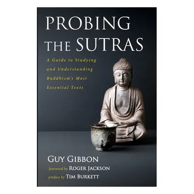 "Probing the Sutras" - "" ("Gibbon Guy")