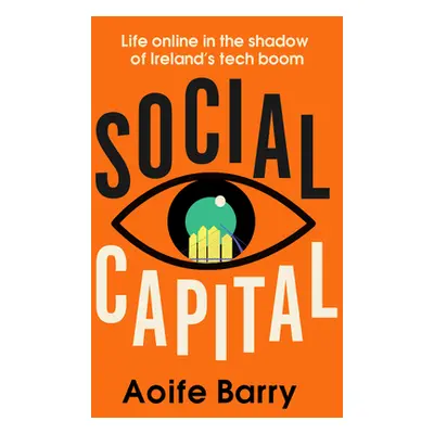 "Social Capital: Life Online in the Shadow of Ireland's Tech Boom" - "" ("Barry Aoife")