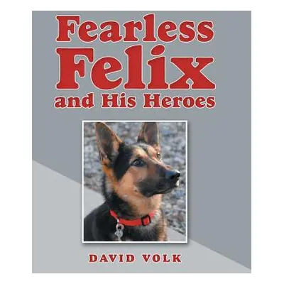 "Fearless Felix and His Heroes" - "" ("Volk David")