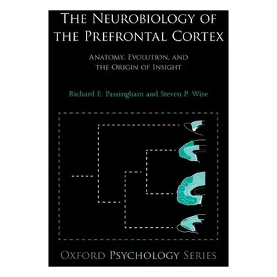 "The Neurobiology of the Prefrontal Cortex: Anatomy, Evolution, and the Origin of Insight" - "" 