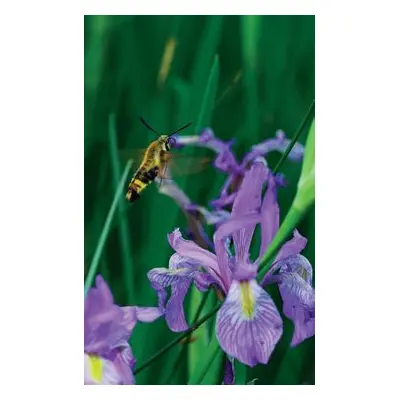 "Petite Wild Blue Iris Journal" - "" ("Wunderlich Jordan")