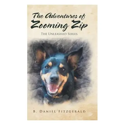 "The Adventures of Zooming Zip" - "" ("Fitzgerald B. Daniel")