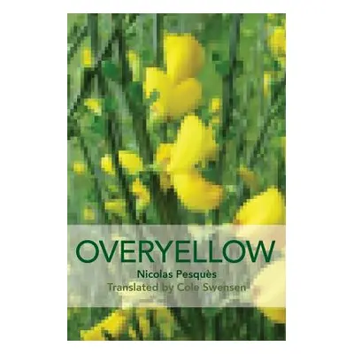 "Overyellow: The Poem as Installation Art" - "" ("Pesqus Nicholas")