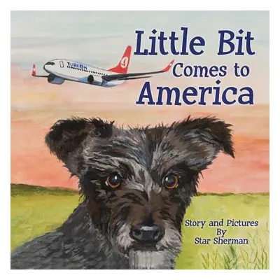 "Little Bit Comes to America" - "" ("Sherman Star")