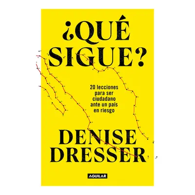 Qu Sigue?: 20 Lecciones Para Ser Ciudadano Ante Un Pas En Riesgo / What's Nex T ? Twenty Lessons