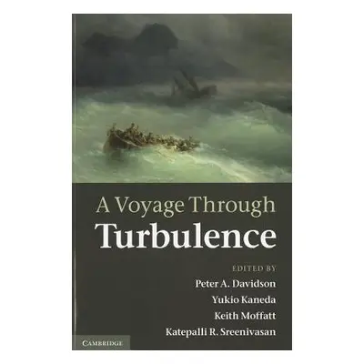 "A Voyage Through Turbulence" - "" ("Davidson Peter A.")