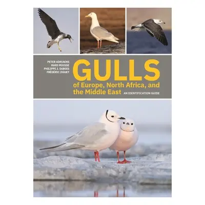 "Gulls of Europe, North Africa, and the Middle East: An Identification Guide" - "" ("Adriaens Pe