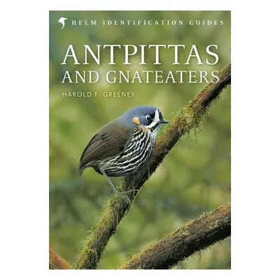 "Antpittas and Gnateaters" - "" ("Greeney Harold")