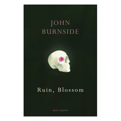 Ruin, Blossom (Burnside John)