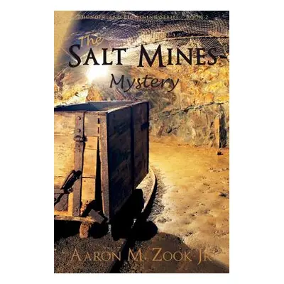 "The Salt Mines Mystery" - "" ("Zook Aaron M. Jr.")