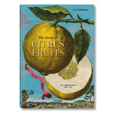 "J. C. Volkamer. the Book of Citrus Fruits" - "" ("Lauterbach Iris")