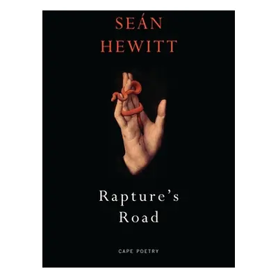 Rapture's Road - From the author of All Down Darkness Wide (Hewitt Sean)