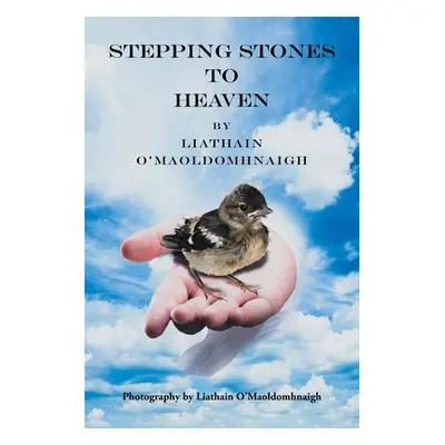 "Stepping Stones to Heaven" - "" ("O'Maoldomhnaigh Liathain")