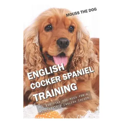 "English Cocker Spaniel Training: All the Tips You Need for a Well-Trained English Cocker Spanie