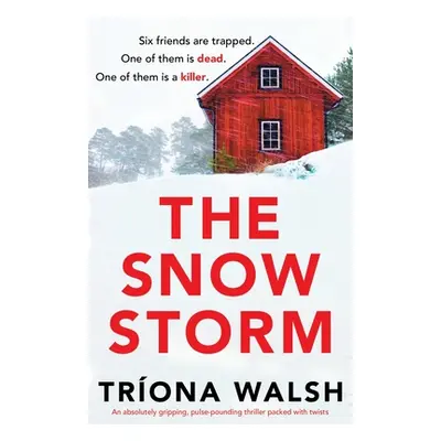 "The Snowstorm: An absolutely gripping, pulse-pounding thriller packed with twists" - "" ("Walsh