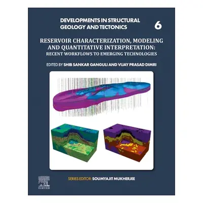 "Reservoir Characterization, Modeling and Quantitative Interpretation: Recent Workflows to Emerg