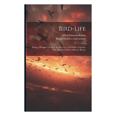 "Bird-Life: Being a History of the Bird, Its Structure, and Habits, Together With Sketches of Fi