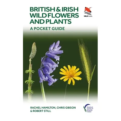 "British and Irish Wild Flowers and Plants: A Pocket Guide" - "" ("Hamilton Rachel")